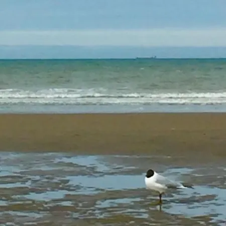 On The With Sea View Apartment *