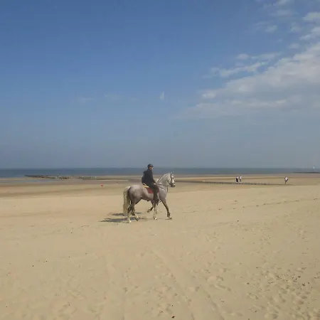 On The With Sea View Middelkerke